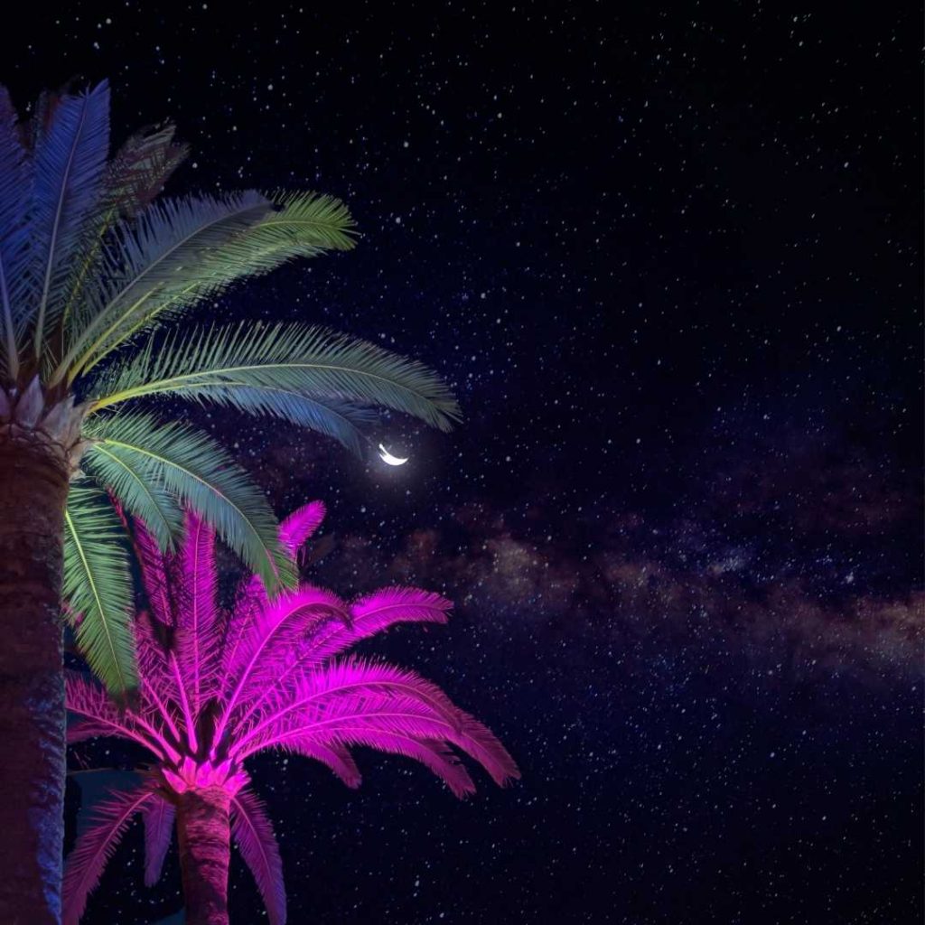 palms-above-our-heads-1024x1024